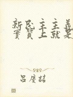 新民主主义革命实质上就是