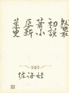 叶辰萧初然最快更新小说最新
