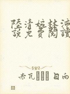 陆清婉林沛琛小说免费阅读最新章节