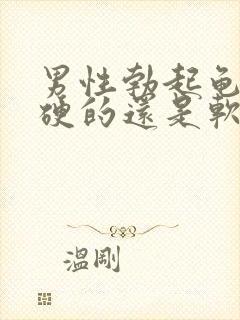 男性勃起龟头是硬的还是软的