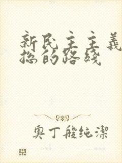 新民主主义革命总的路线