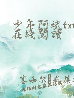 少年阿斌txt在线阅读
