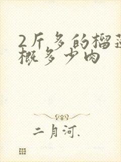 2斤多的榴莲大概多少肉