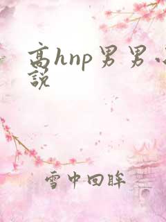 高hnp男男小说