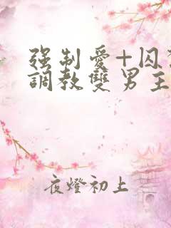 强制爱+囚禁+调教双男主