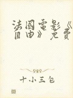 法国电影《爱的自由》免费观看