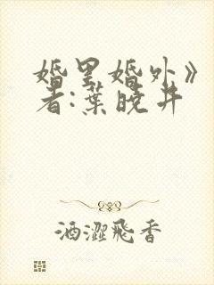 婚里婚外》 作者:叶晓井