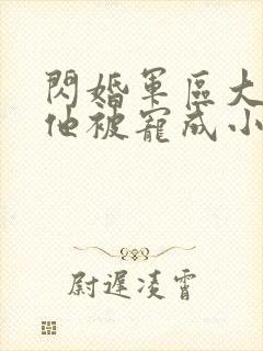 闪婚军区大佬后他被宠成小娇妻小说免费阅读