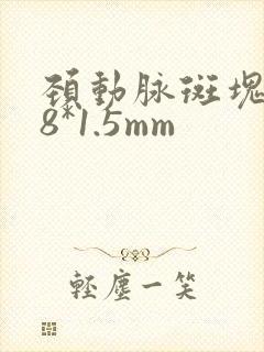 颈动脉斑块5.8*1.5mm