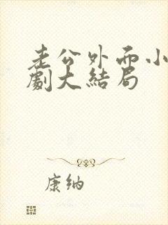 老公外面小家庭剧大结局