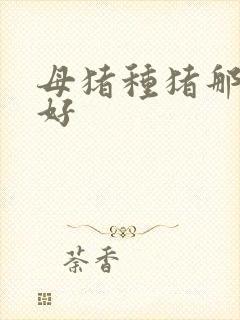 母猪种猪那里的好