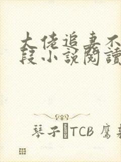 大佬追妻不择手段小说阅读无弹窗