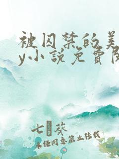 被囚禁的美人by小说免费阅读