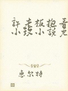 许老板抱看书的小玫小说免费阅读