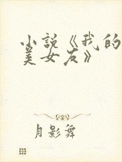 小说《我的白富美女友》