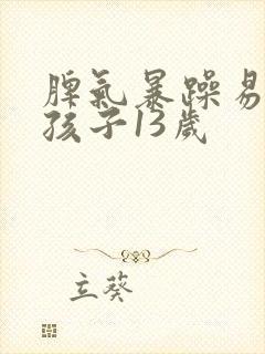 脾气暴躁易怒的孩子13岁