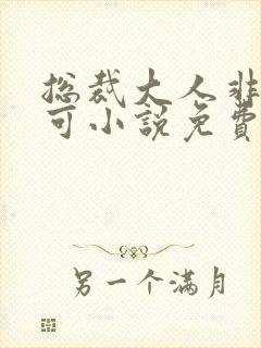 总裁大人非我不可小说免费阅读