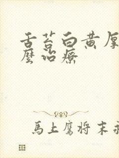 舌苔白黄厚腻怎么治疗