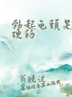 勃起龟头是软的硬的