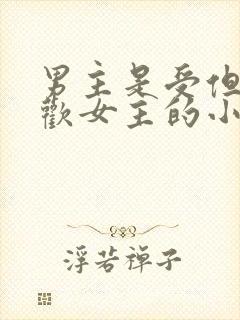 男主是受但是喜欢女主的小说