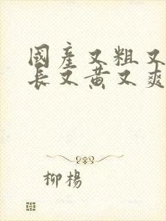 国产又粗又硬又长又黄又爽的视频