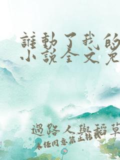 谁动了我的老婆小说全文免费阅读一