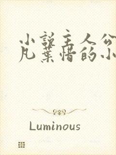 小说主人公叫林凡叶惜的小说