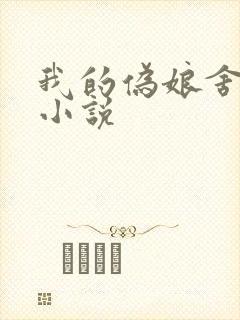 我的伪娘舍雅淇小说