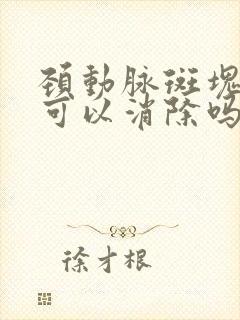 颈动脉斑块红曲可以消除吗