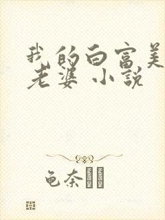 我的白富美总裁老婆 小说