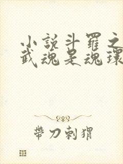 小说斗罗之我的武魂是魂环下载