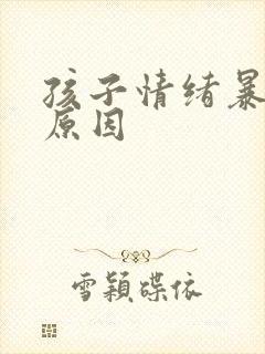 孩子情绪暴躁的原因