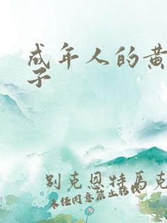 成年人的黄色网子