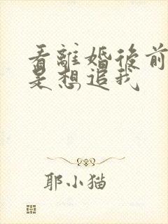 看离婚后前夫总是想追我