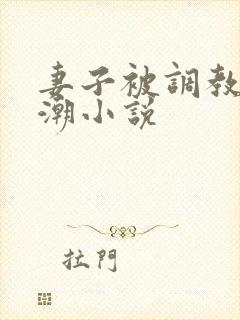 妻子被调教到高潮小说