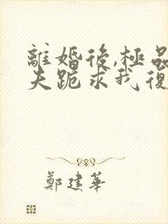 离婚后,极品前夫跪求我复婚