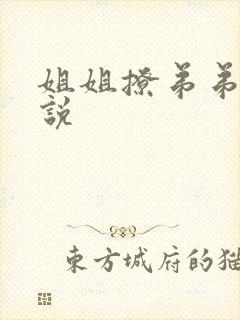 姐姐撩弟弟的小说