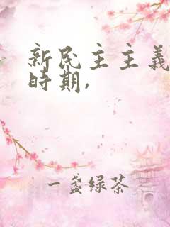 新民主主义革命时期,