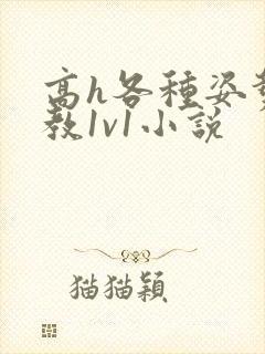 高h各种姿势调教1v1小说