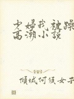 少妇我被躁爽到高潮小说