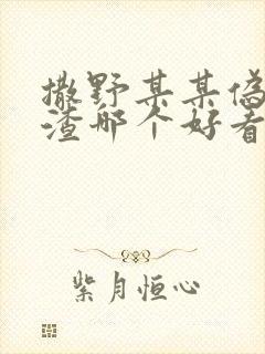 撒野某某伪装学渣哪个好看