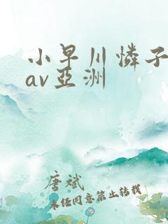 小早川怜子在线av亚洲