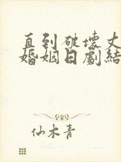 直到破坏丈夫的婚姻日剧结局