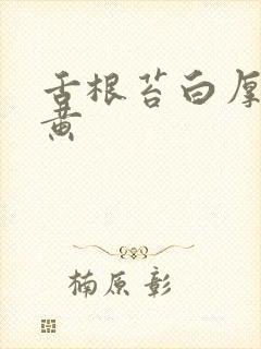 舌根苔白厚腻发黄