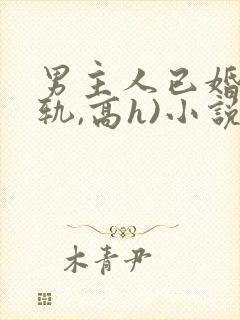 男主人已婚(出轨,高h)小说
