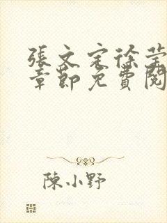 张文定徐莹最新章节免费阅读