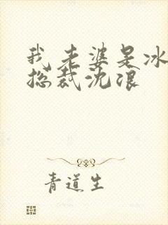 我老婆是冰山女总裁沈浪