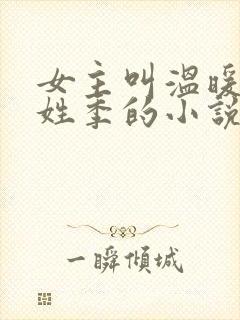 女主叫温暖男主姓季的小说