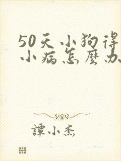 50天小狗得细小病怎么办