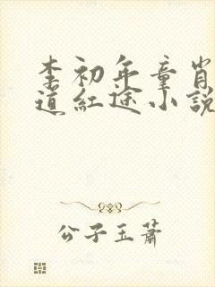 李初年童肖媛正道红途小说免费阅读全文